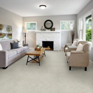 light-colored carpet in a living room | National Design Mart | Northeast Ohio
