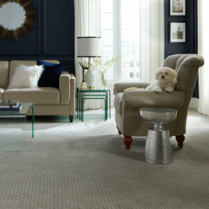 dog sitting on a chair in a living room with carpet | | National Design Mart | Northeast Ohio
