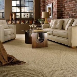 neutral colored carpet in a living room | National Design Mart | Northeast Ohio