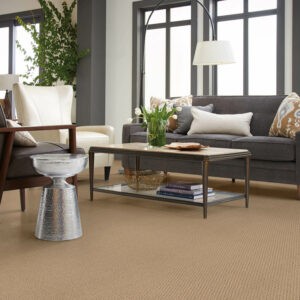 neutral colored carpet in living room | National Design Mart | Northeast Ohio