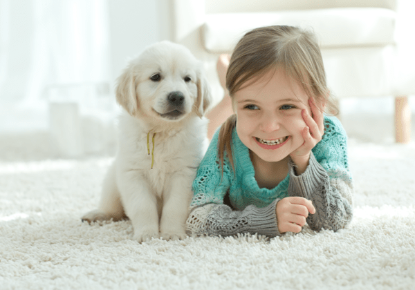 Cute girl lying on carpet floor with pet friendly | National Design Mart | Northeast Ohio